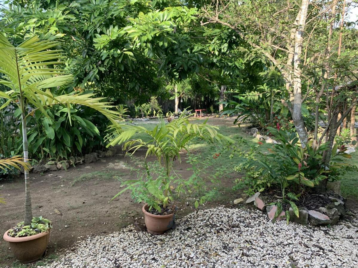 Can Jam Retreat Negril Eksteriør bilde