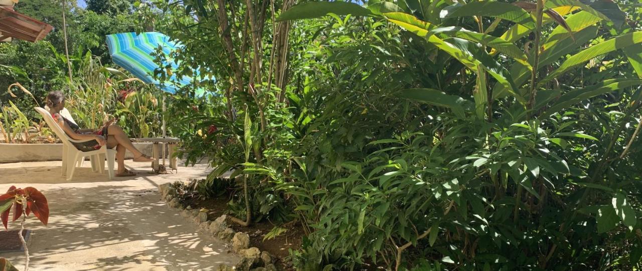 Can Jam Retreat Negril Eksteriør bilde