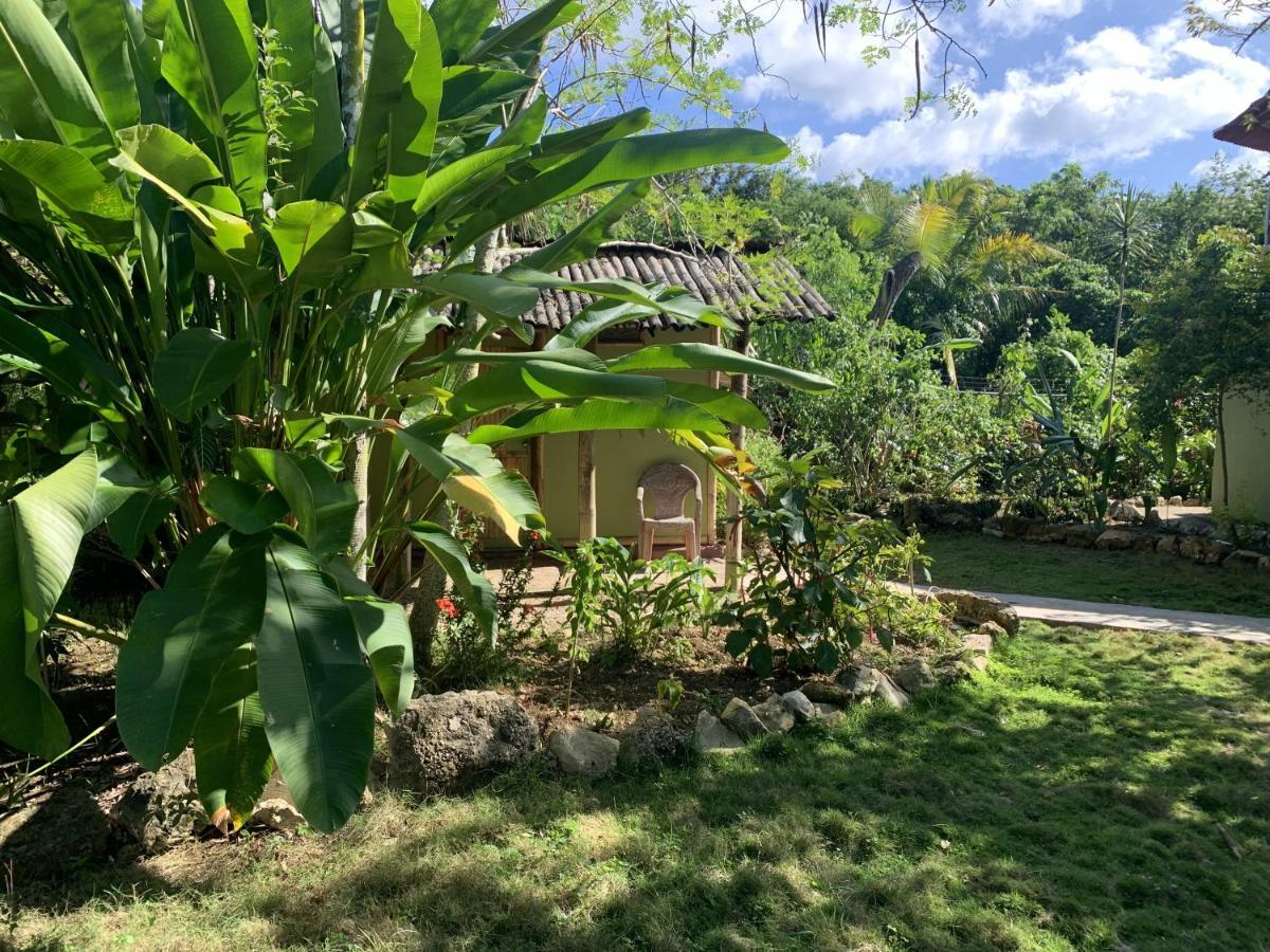 Can Jam Retreat Negril Eksteriør bilde