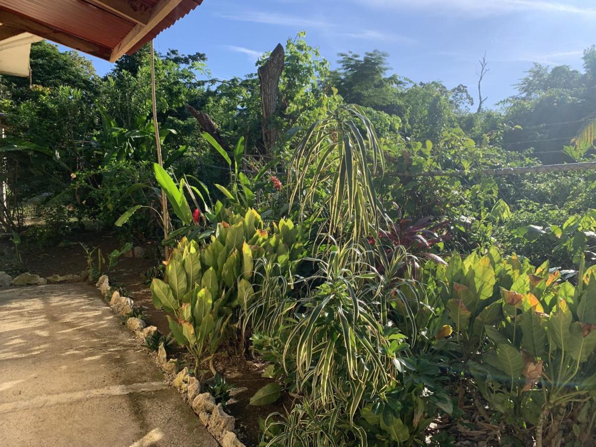 Can Jam Retreat Negril Eksteriør bilde