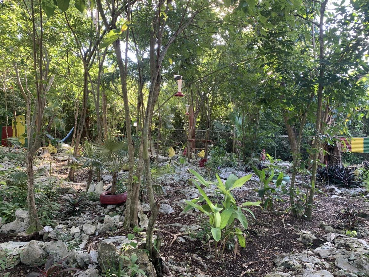 Can Jam Retreat Negril Eksteriør bilde