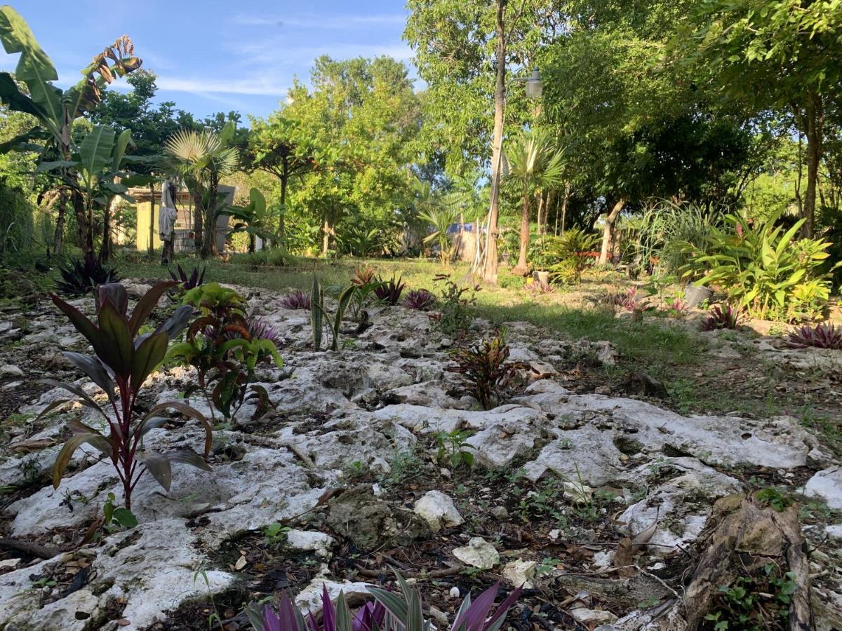 Can Jam Retreat Negril Eksteriør bilde