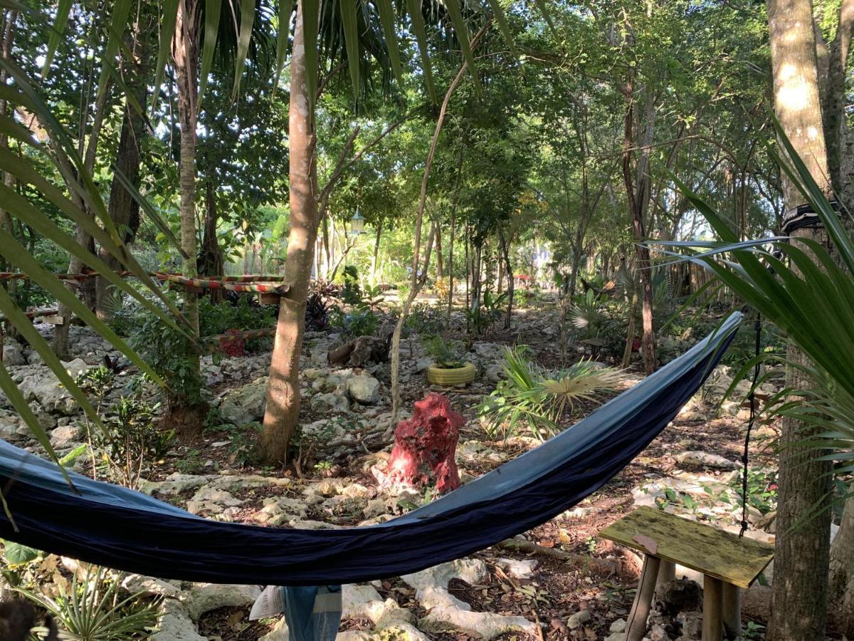 Can Jam Retreat Negril Eksteriør bilde