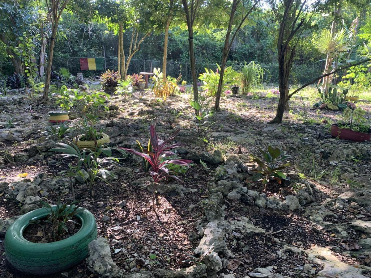 Can Jam Retreat Negril Eksteriør bilde