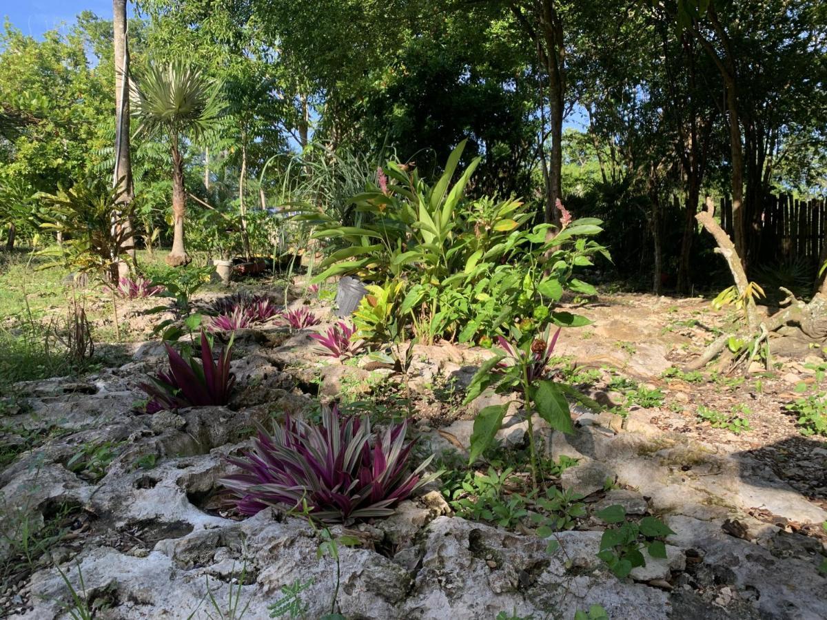 Can Jam Retreat Negril Eksteriør bilde