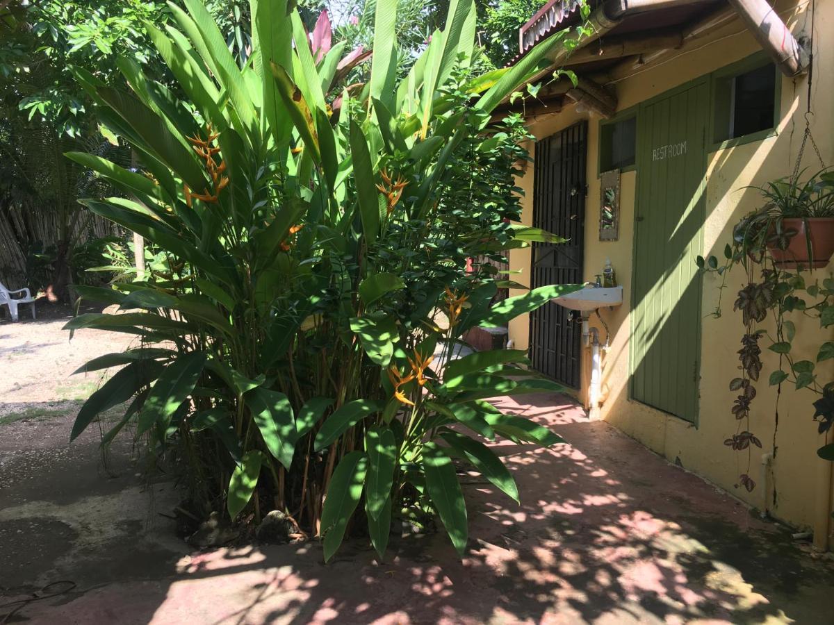Can Jam Retreat Negril Eksteriør bilde