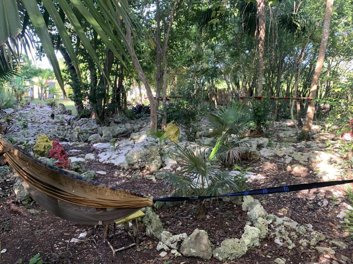 Can Jam Retreat Negril Eksteriør bilde